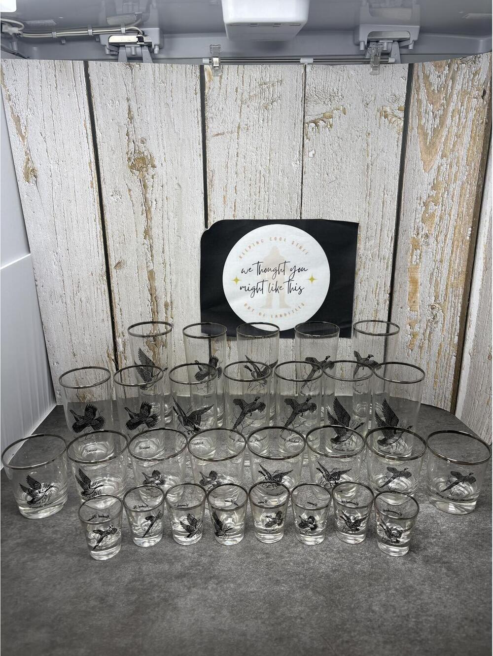 Federal Glass Sportsman 28pc Barware Set Silver Rim Pheasant Goose Grouse MCM